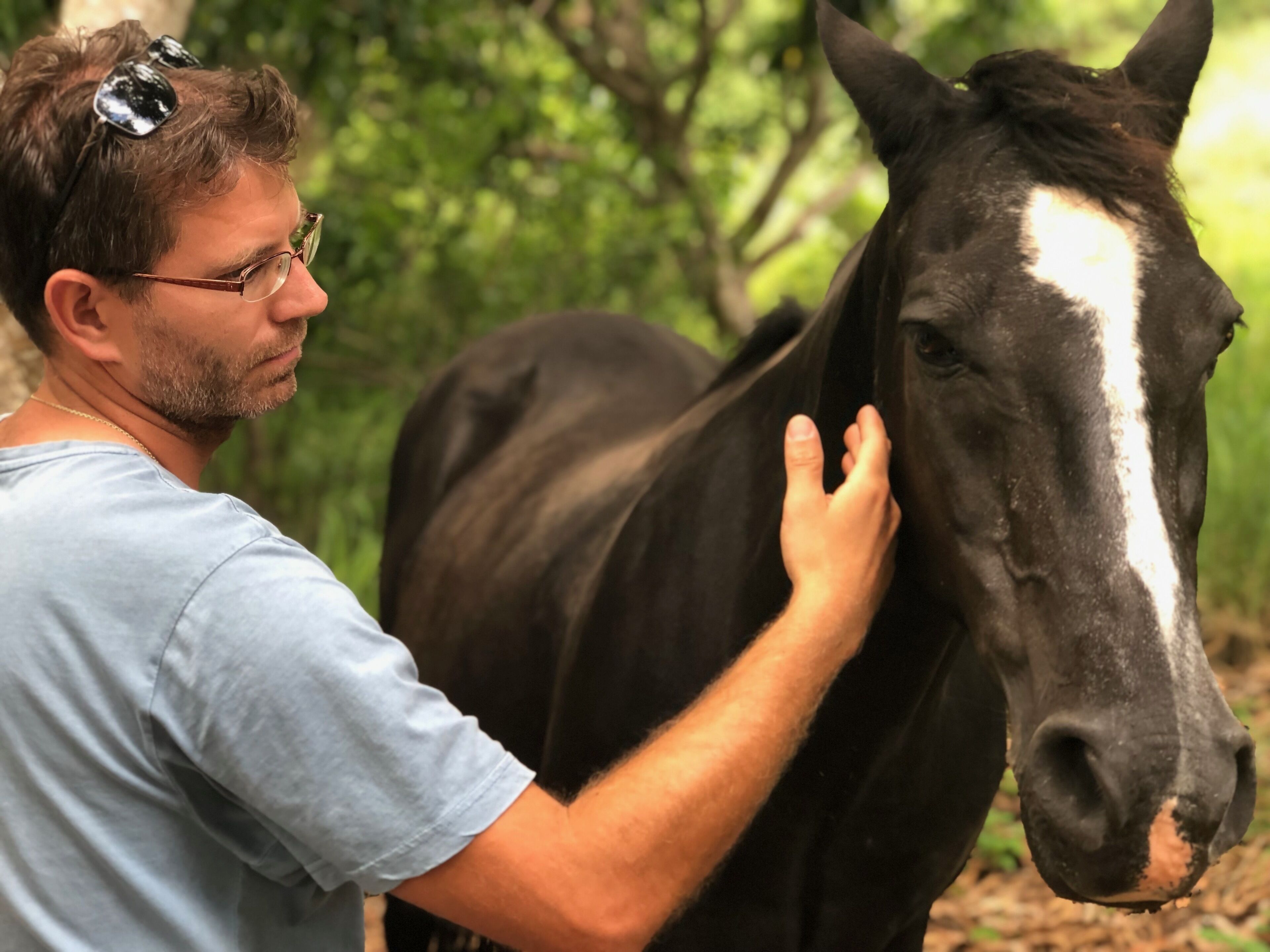 Stonehouse Farm - Glamping