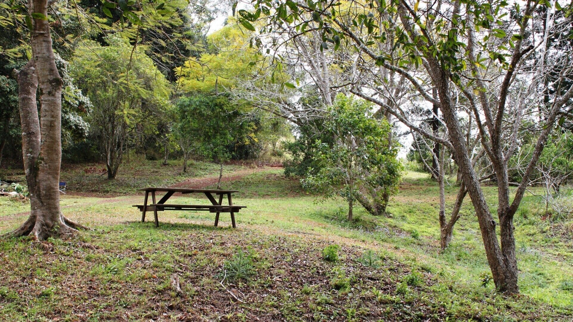 Stonehouse Farm - Glamping