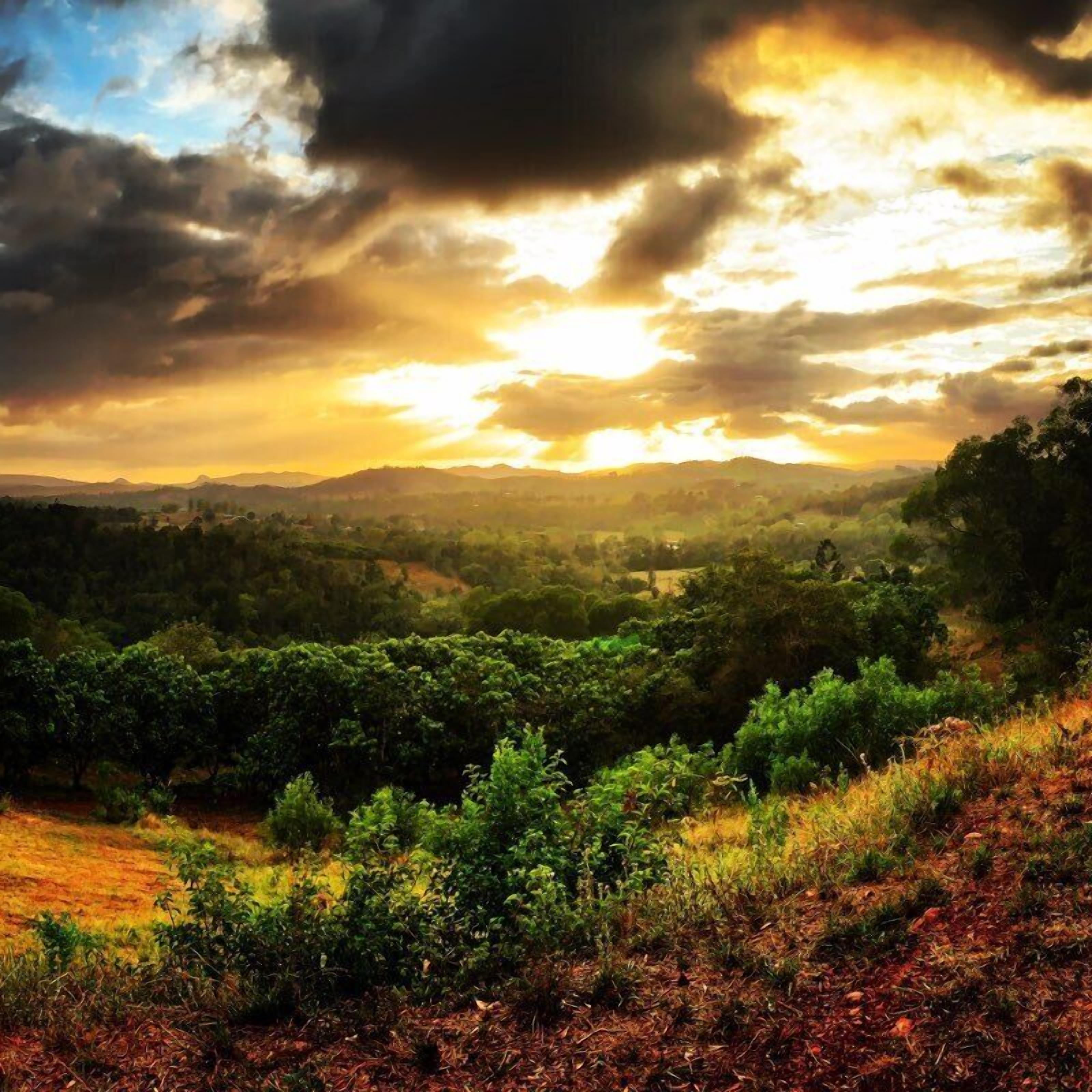 Stonehouse Farm - Glamping