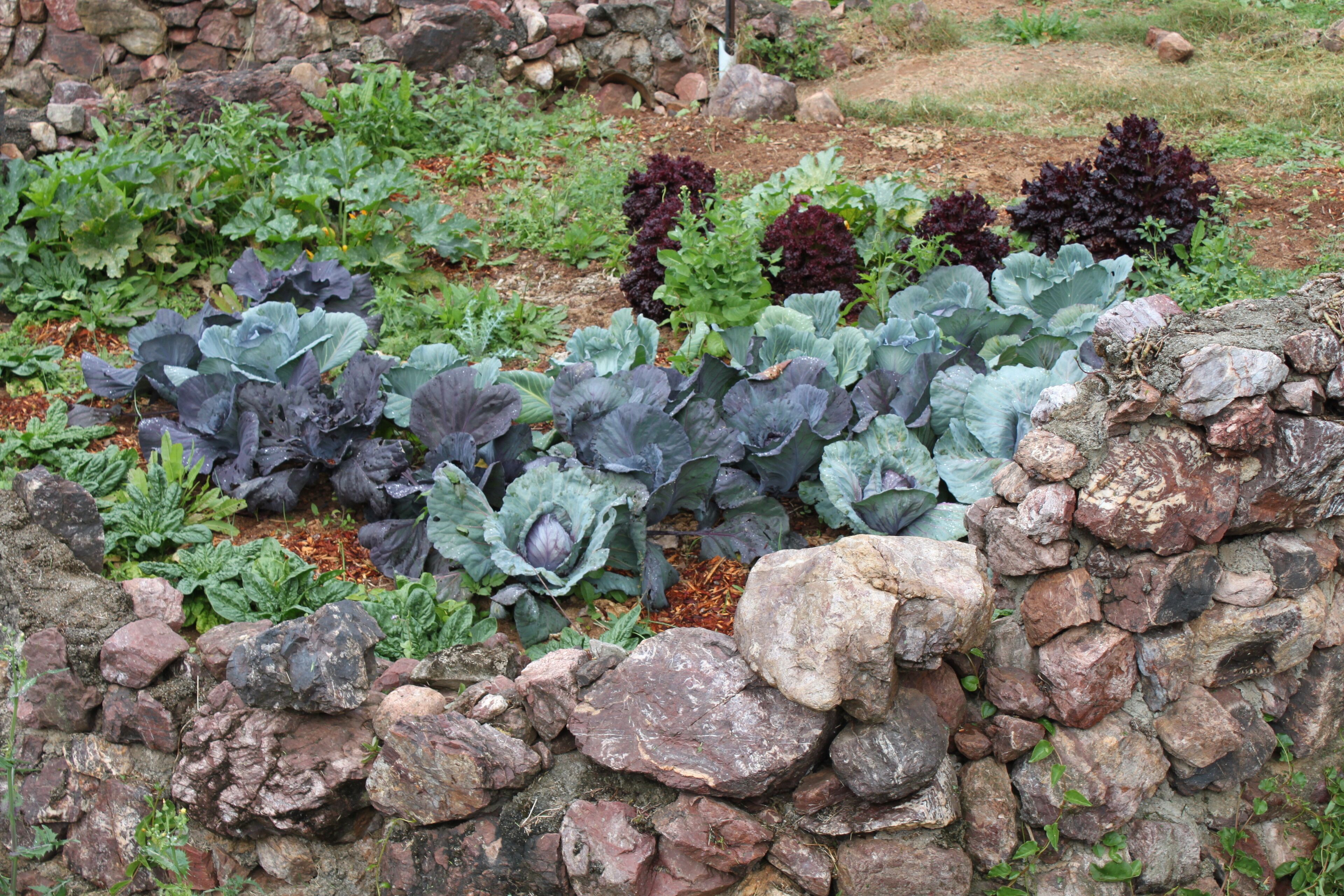 Stonehouse Farm - Glamping