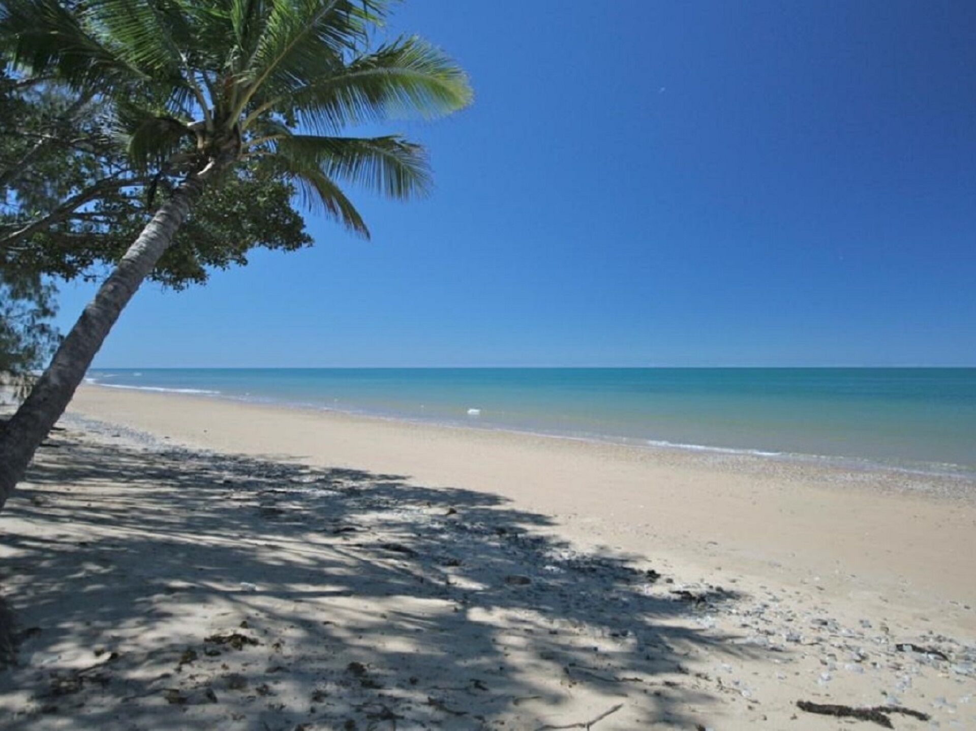 3 Palms - Oak Beach / Beach House