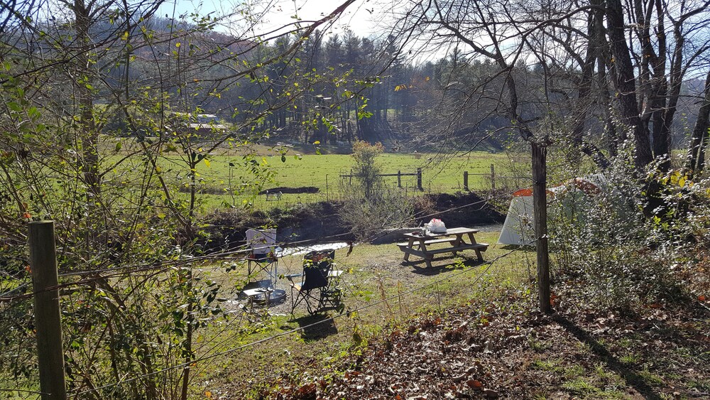 Campsite #2 on the banks of Crab Creek, tent camping near Dupont State Forest!