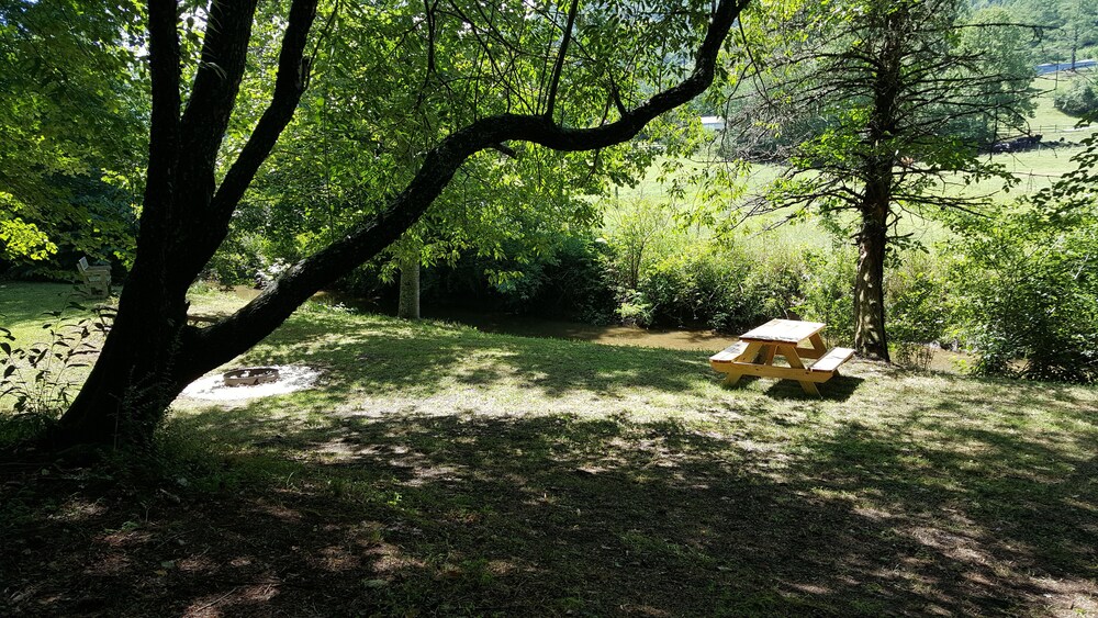 Campsite #2 on the banks of Crab Creek, tent camping near Dupont State Forest!