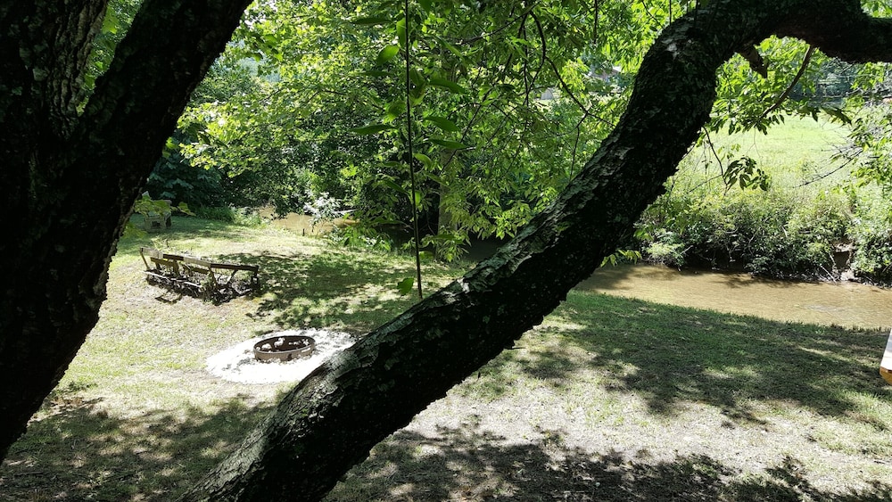 Campsite #2 on the banks of Crab Creek, tent camping near Dupont State Forest!