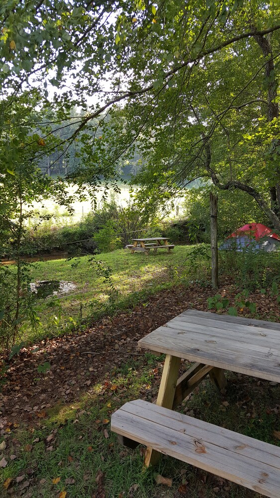 Campsite #2 on the banks of Crab Creek, tent camping near Dupont State Forest!