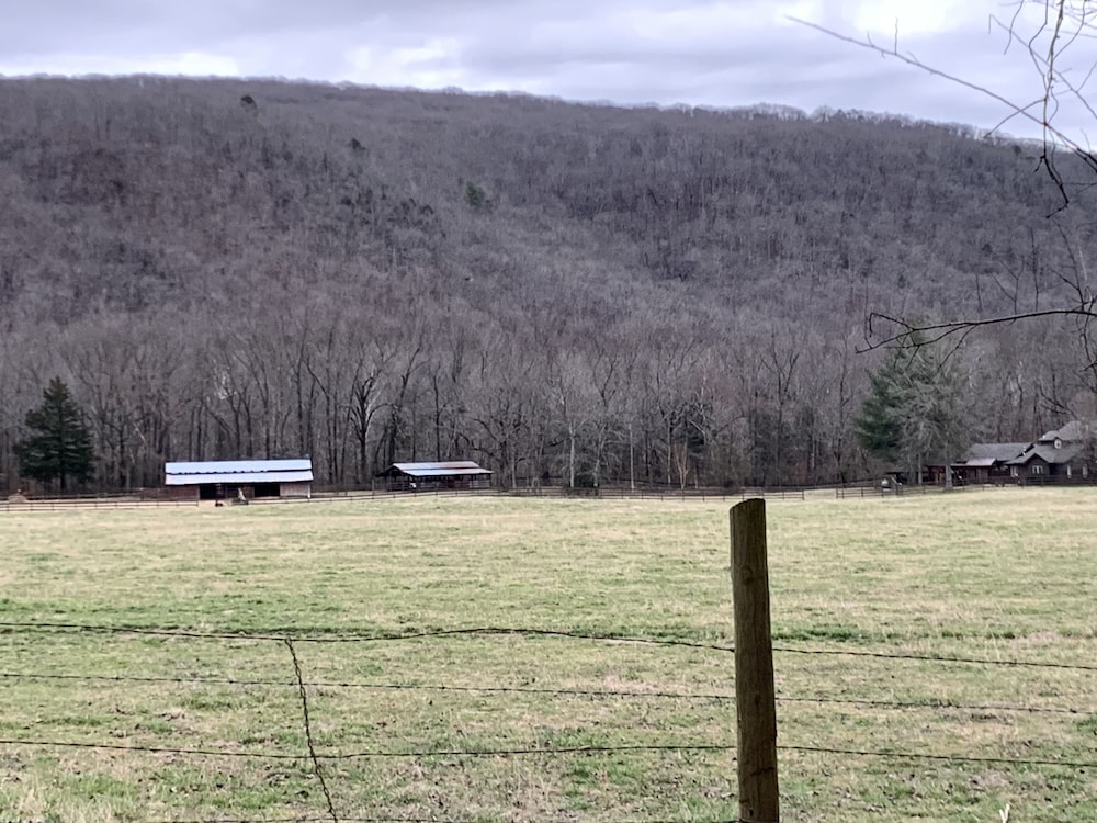 Cabin off the Scenic Pig Trail On Mulberry River in Ozark Best Rates