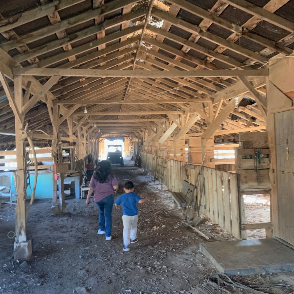 Cabin off the Scenic Pig Trail On Mulberry River in Ozark Best Rates