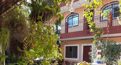 Hotel Rio Colima