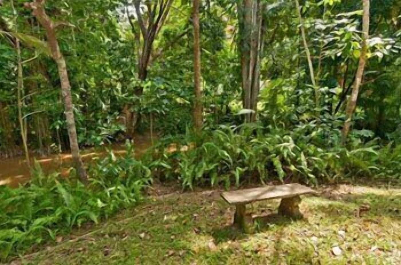 Red Mill House in Daintree