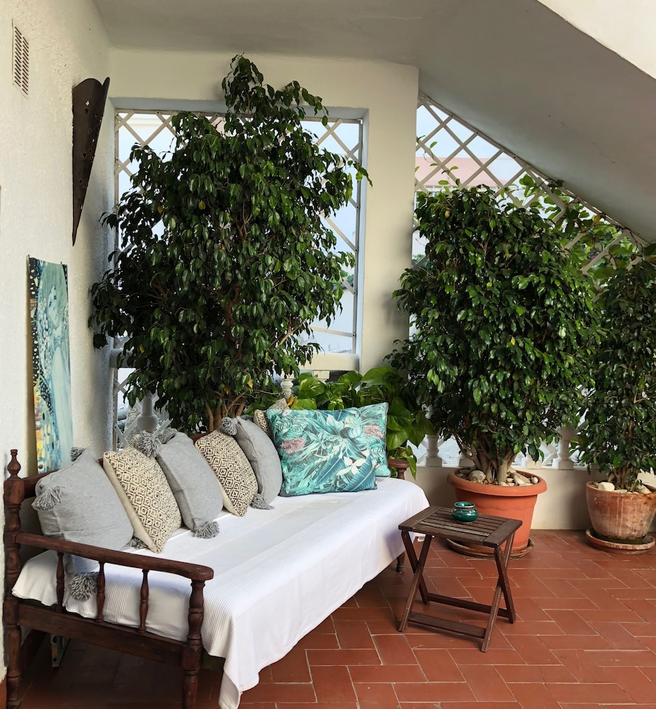 Foto - Hostal Avalon