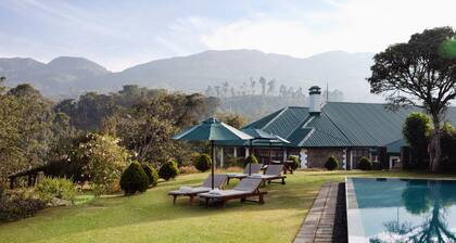 Ceylon Tea Trails