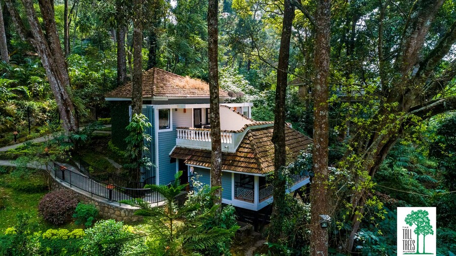 The Tall Trees Munnar