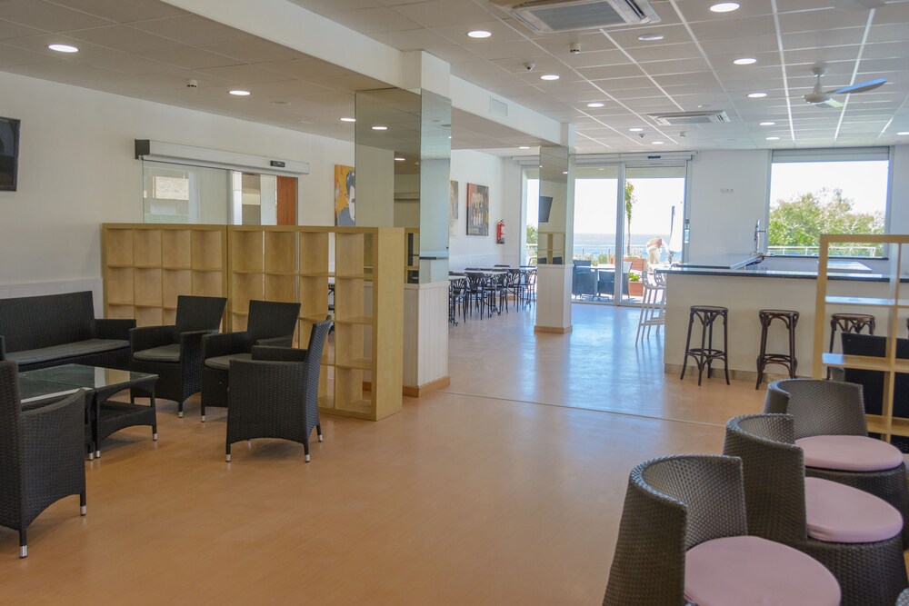 Foto - Albatros Family