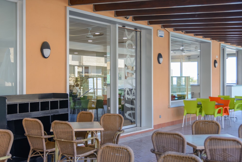 Foto - Albatros Family