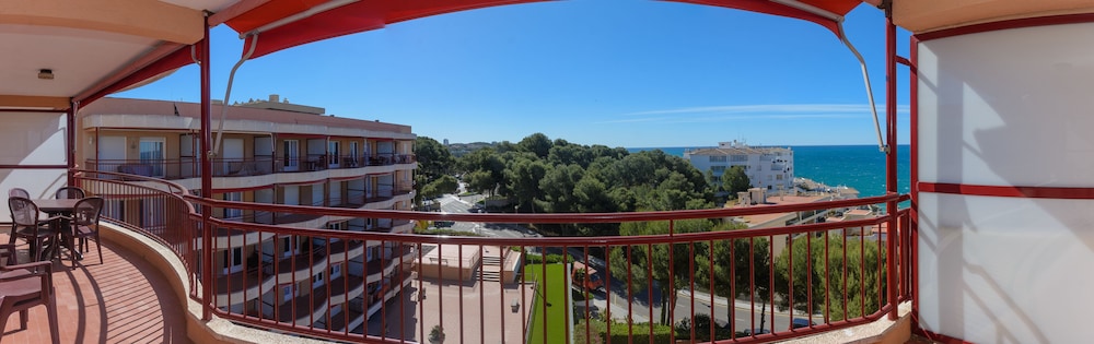 Foto - Albatros Family