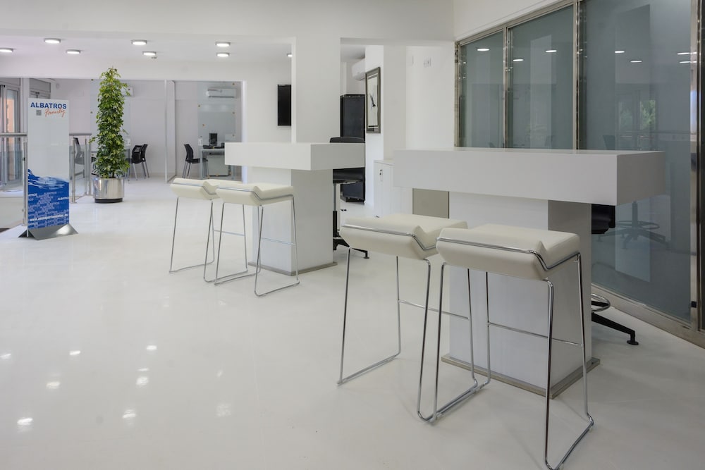 Foto - Albatros Family