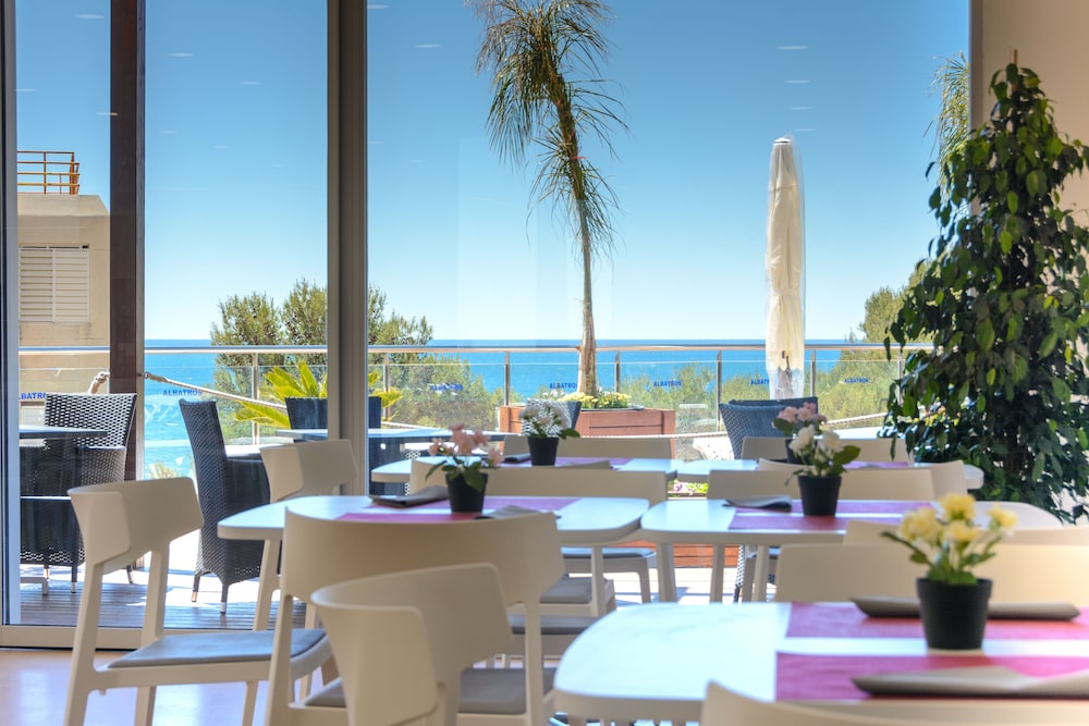 Foto - Albatros Family