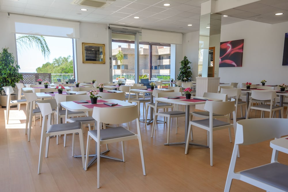 Foto - Albatros Family