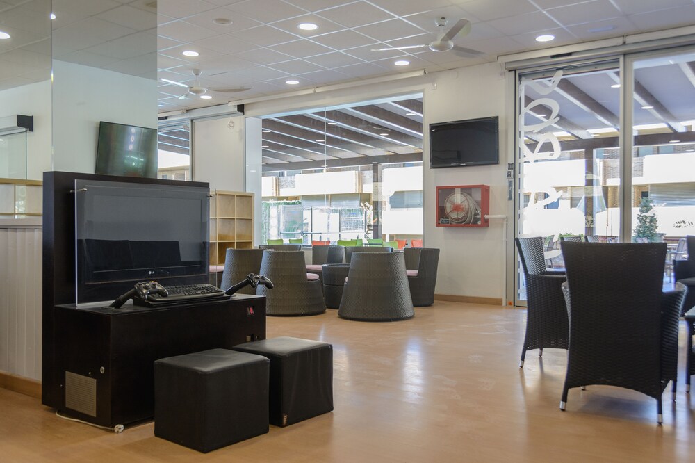 Foto - Albatros Family