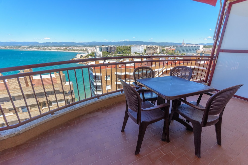 Foto - Albatros Family