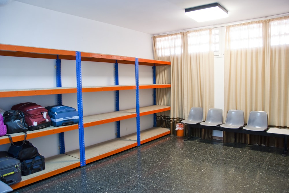 Foto - Albatros Family