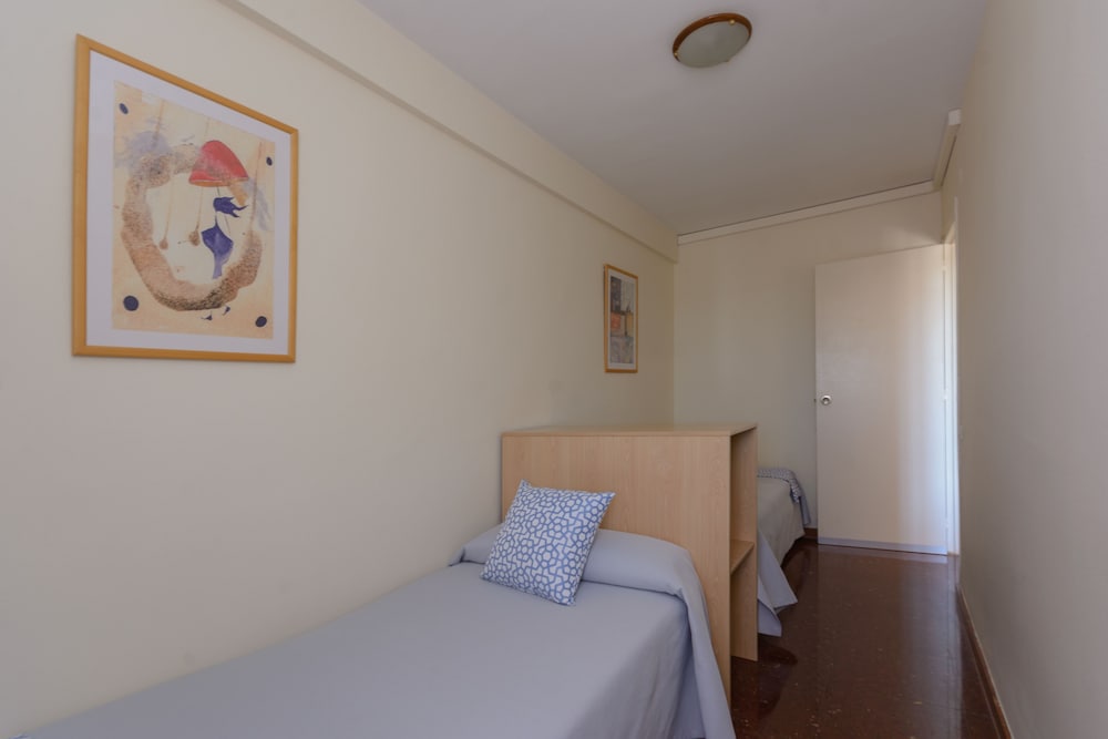 Foto - Albatros Family