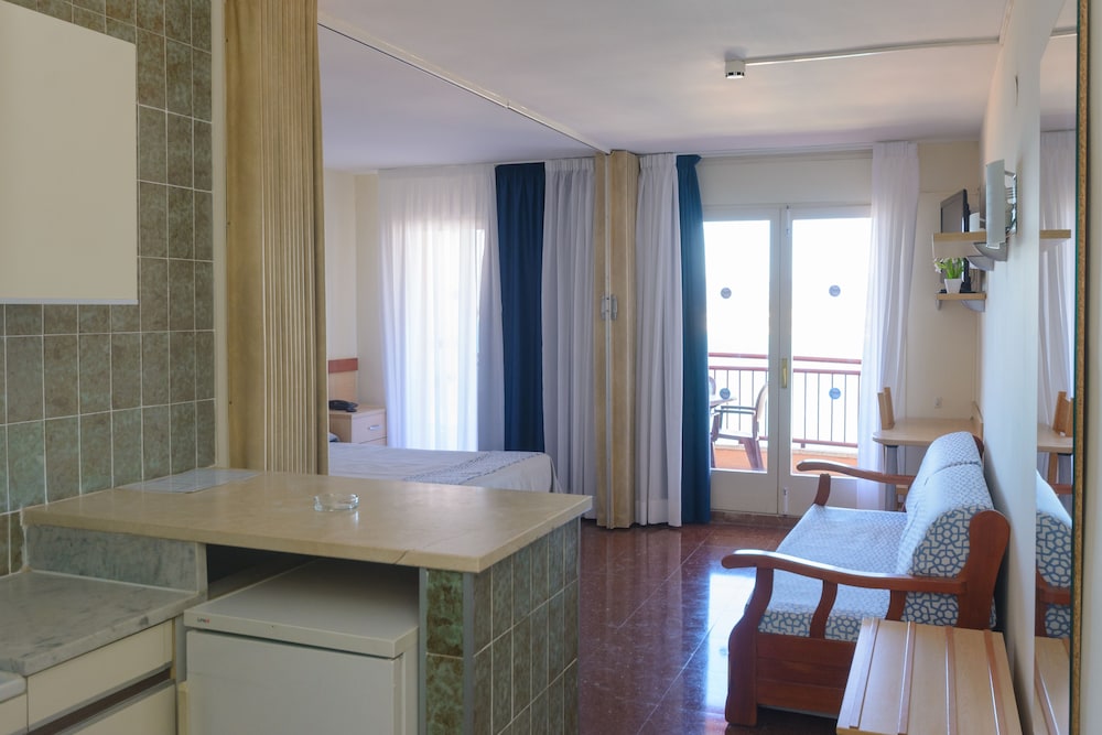 Foto - Albatros Family