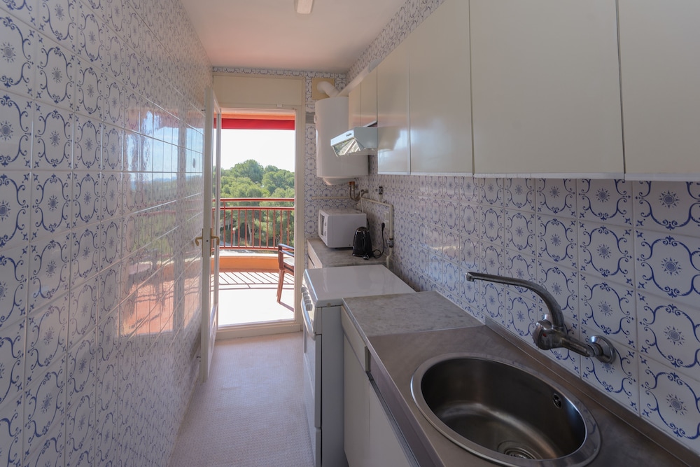 Foto - Albatros Family