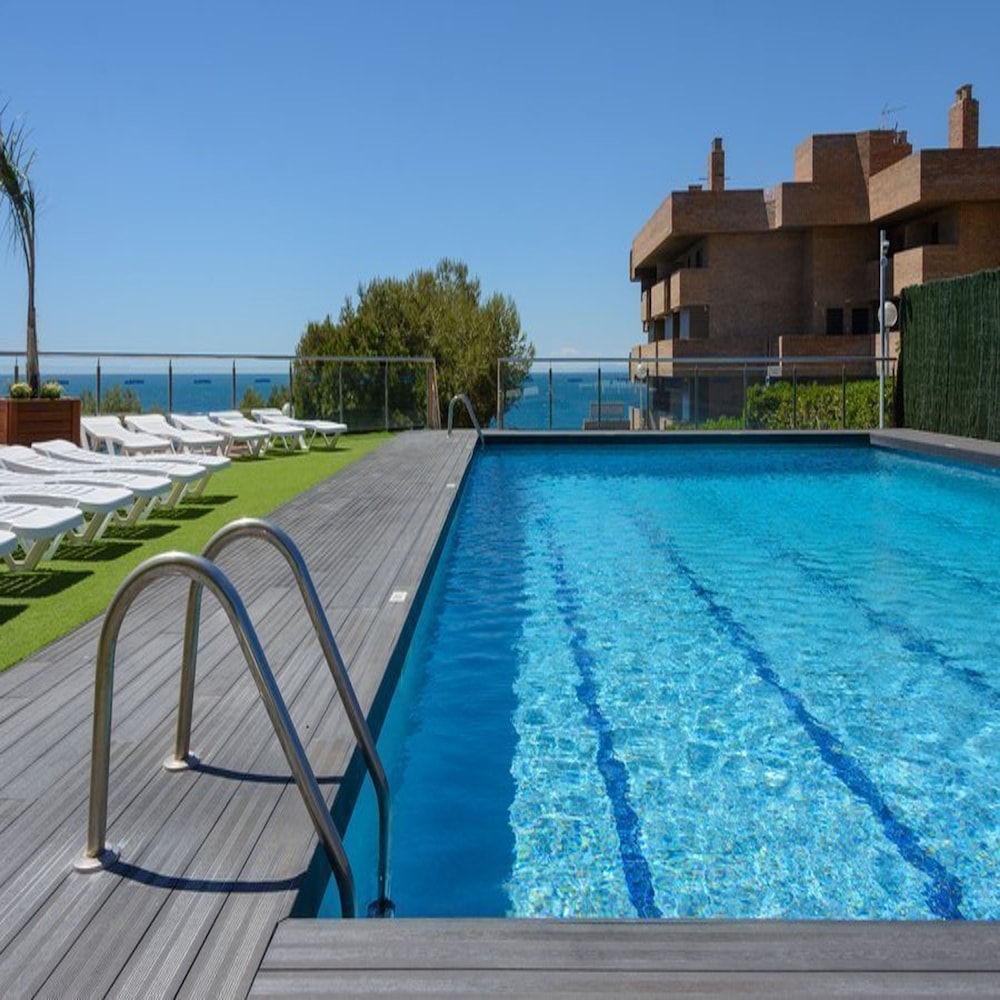 Foto - Albatros Family