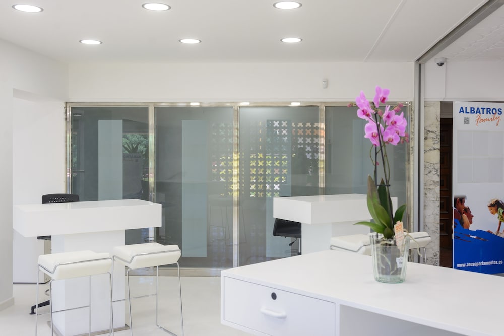 Foto - Albatros Family