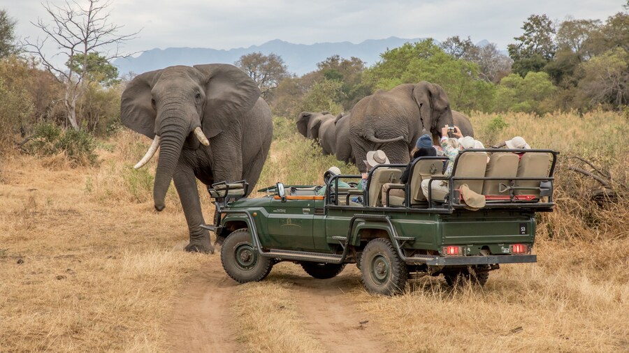 Shiduli Private Game Lodge