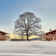 4 Sterne Hotels Tegernsee Bayern Hotels Expedia De