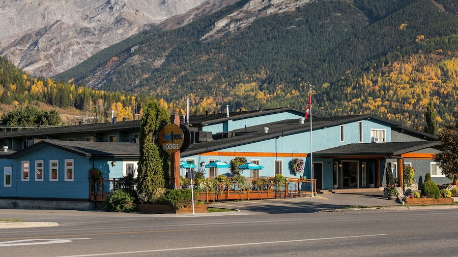 Red Tree Lodge