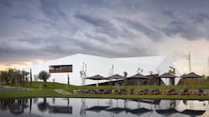 Indoor pool, outdoor pool, pool umbrellas