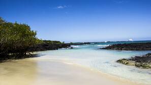 On the beach, white sand