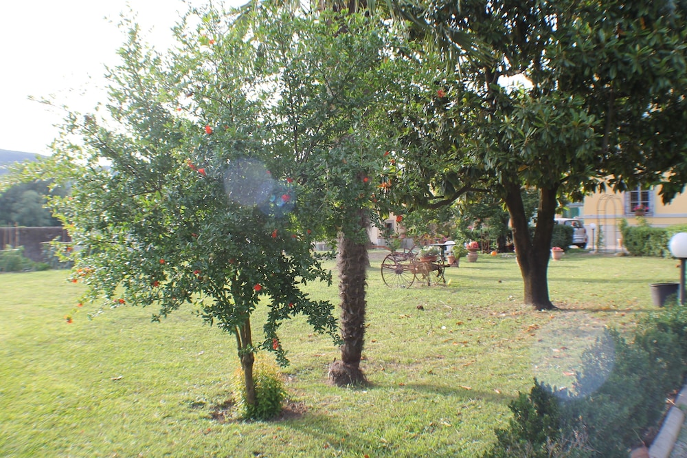 Foto - B&B Villa Pardi Lucca