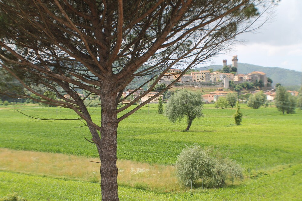 Foto - B&B Villa Pardi Lucca