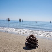 10 Best Hotels With Free Parking In Ionian Coast For 2019