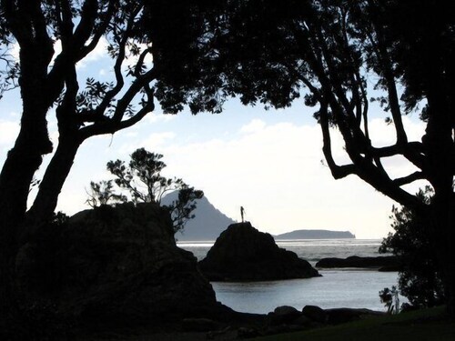 White Island Rendezvous Whakatane 2019 Hotel Prices - 