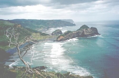 Bethells Beach Cottages Auckland Nzl Best Price Guarantee