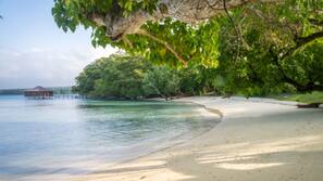 Private beach, beach shuttle, beach umbrellas, beach towels