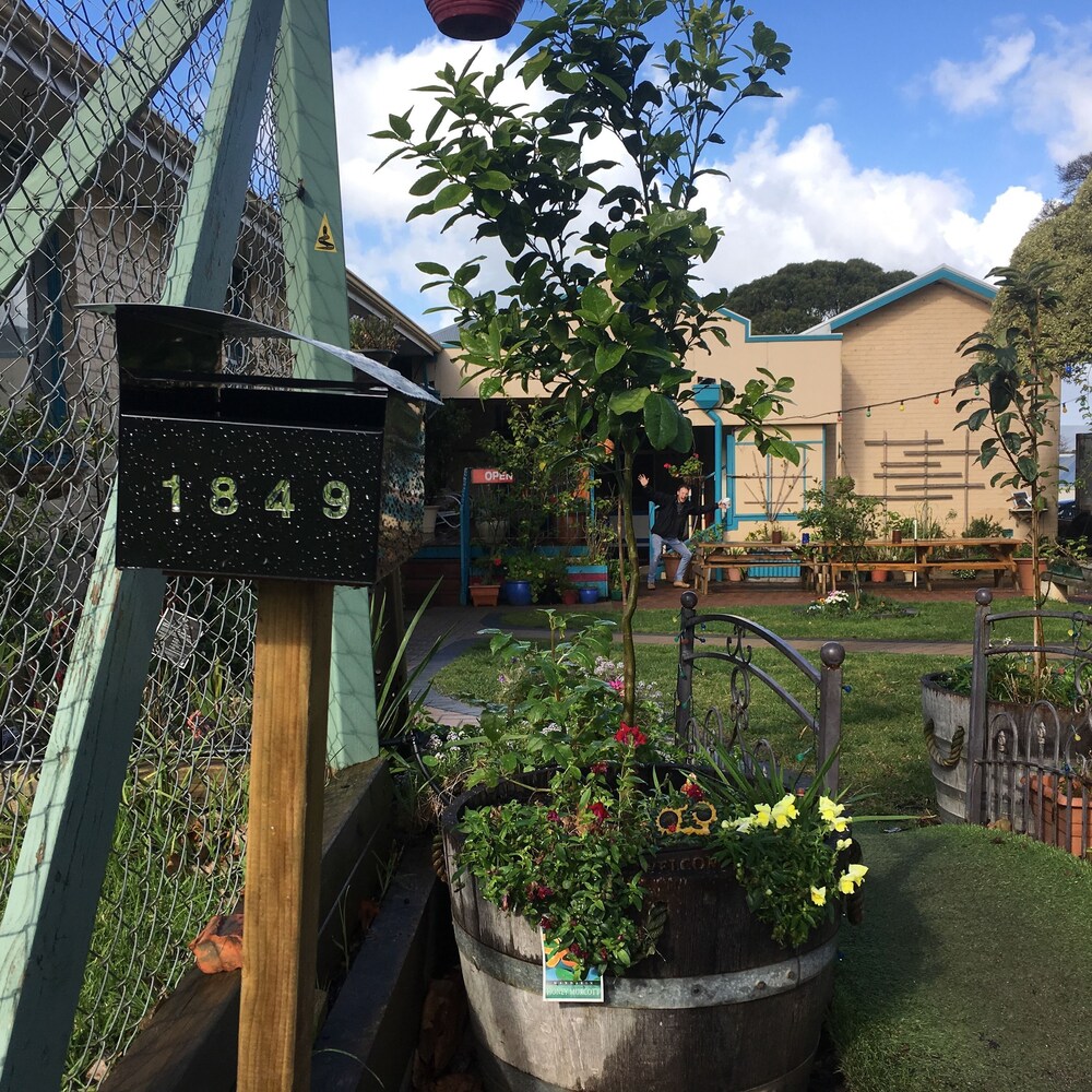 1849 Backpackers Hotel