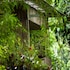 Hamadryade Lodge in Tena, Ecuador