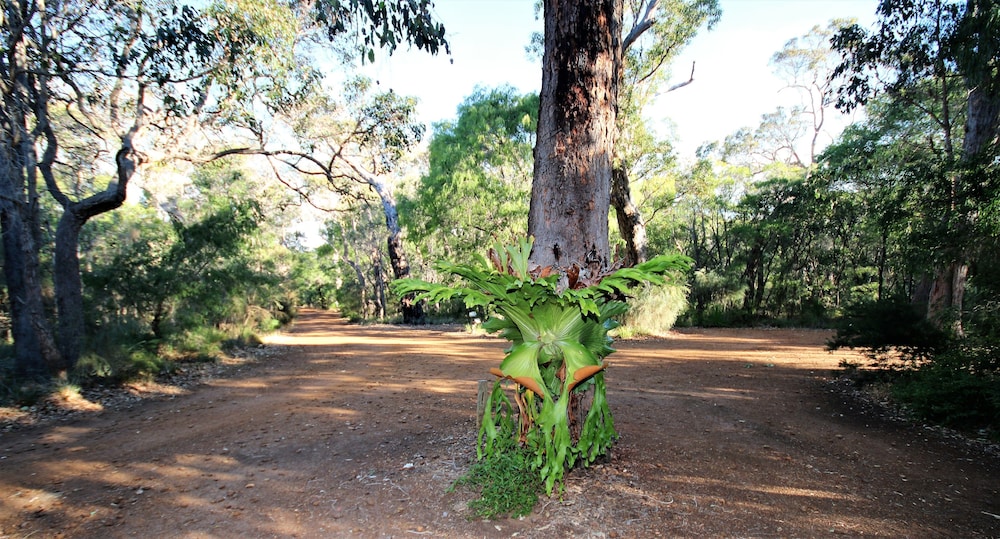 Front of property, Margaret River B&B