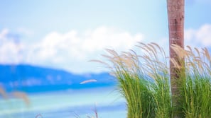 บนชายหาด, ทรายสีขาว, รถรับส่งชายหาด (ฟรี), นวดบนชายหาด