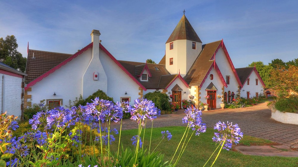 10 Best Dog & PetFriendly In Tasmania, Trip101