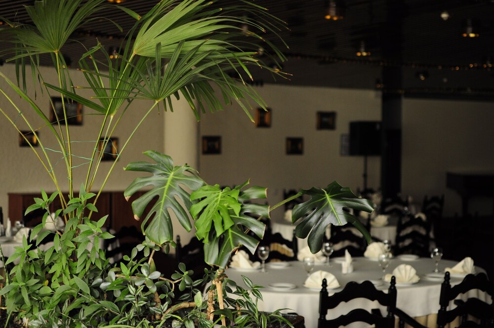 Photo - Salute Hotel