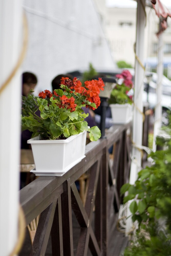 Photo - Salute Hotel