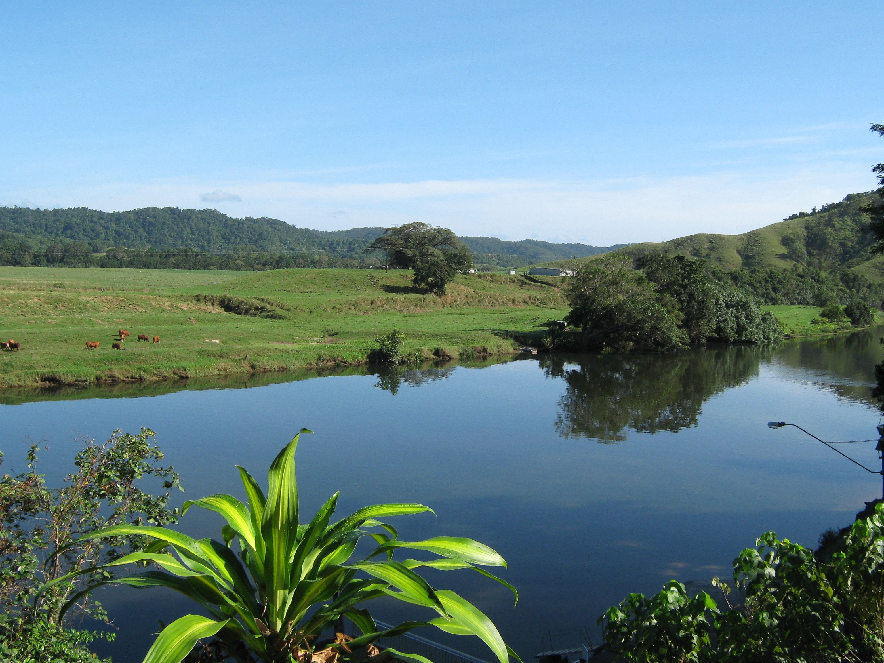 Daintree Riverview