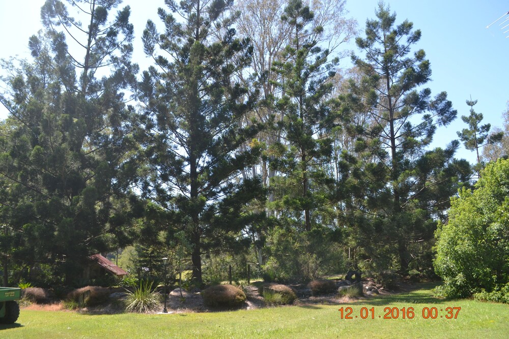 Barney Creek Vineyard Cottages